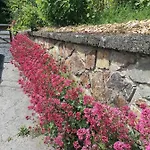 La Maison De Madeleine * Léglise