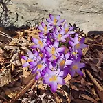 La Maison De Madeleine