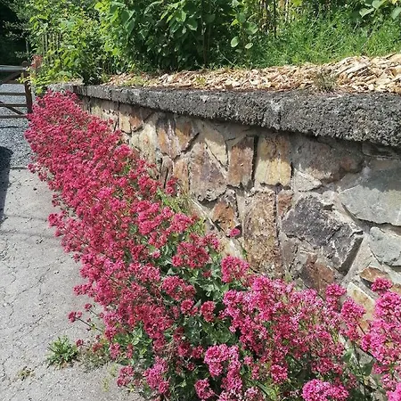La Maison De Madeleine * Léglise