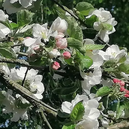 펜션 La Maison De Madeleine *